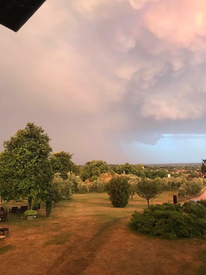 Agriturismo Casa Rossa Ai Colli Ragogna エクステリア 写真